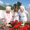 Westview Nursing & Rehabilitation Center gallery