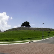 Gallery Image Number 3