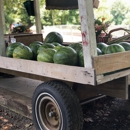 Siw Vegetables - Farmers Market