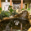 Tropaquatic Pond & Aquarium Specialists gallery