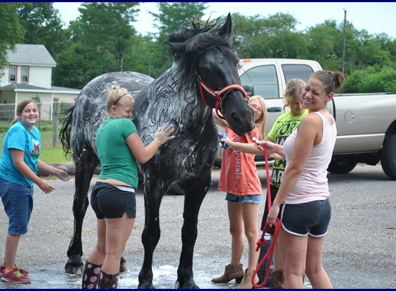 WoodFinn Farm - Newport, PA