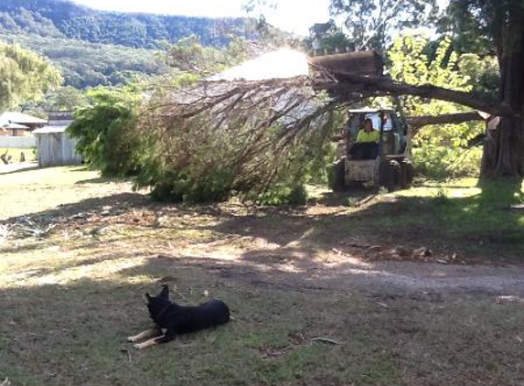 All Coast Tree Services - West Wollongong, NSW