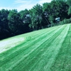 Pro MJL Landscape gallery