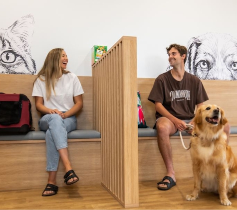 Torquay and Surfcoast Veterinary Clinics - Torquay, VIC