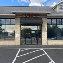 SURGE Staffing - Executive Search Consultants