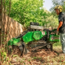 Avondale Tree Service Masters - Arborists