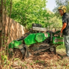 Avondale Tree Service Masters
