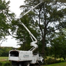 Corbo Landscaping - Tree Service