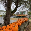 Tobey Farm gallery