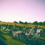 Holy Field Vineyard & Winery