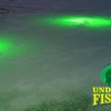 Underwater Fish Light gallery