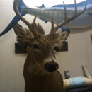 topnotchtaxidermy mobile unit - Art Restoration & Conservation