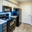 Artemis at Spring Canyon - Real Estate Rental Service