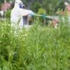 Environment First Pest Management gallery