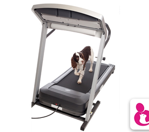Pet Universe - Manningham, SA. Canine Conditioning