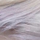 Salon Vicaro Vicaro