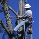 United Tree Service Incorporated - Landscaping & Lawn Services