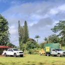East Side Tree Services - Tree Service