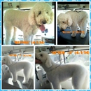 Aussie Pet Mobile Southern California - Pet Grooming