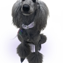 VCA Ormond Beach Animal Hospital - Pet Services