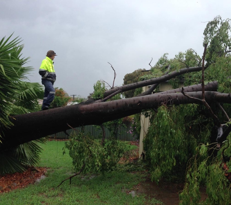 Steve McGrath's Tree Service - Parkes, NSW