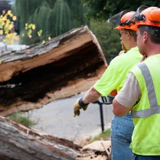 Dale's Tree Service