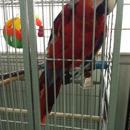 Wings & Things - Birds & Bird Supplies