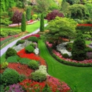 Absolutely Green - Tree Service