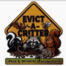 Evict A Critter Pest & Wildlife Management LLC