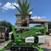 Greengold Tree Service gallery