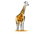 Giraffe Corporate Clothing - Uniforms