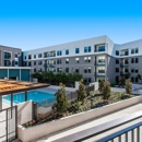 Cadence Apartments - Apartments