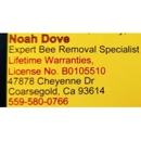 The Bee Guy - Pest Control Services