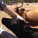 Florida Agricultural Museum - Museums