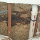 Healthy Home Mold Inspection - Mold Remediation