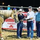 Mike Watson - State Farm Insurance Agent - Insurance