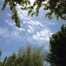 Trails of w Frisco - Associations