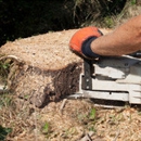 Mark's Tree Service - Tree Service