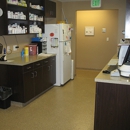 Redstone Animal Hospital - Veterinarians