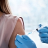 Precision Antibody gallery