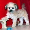 E & K Kennel gallery