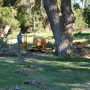 Arensman Services - Stump Removal & Grinding