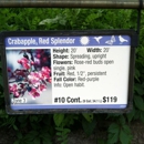 Bachman's - Garden Centers