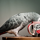Tweeters N Peepers - Pet Stores