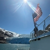Phillips Cruises & Tours gallery