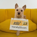 Varsity23 Designs - Internet Consultants
