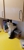 Unley Veterinary Surgery - Pets And Their People - Veterinary Surgeons