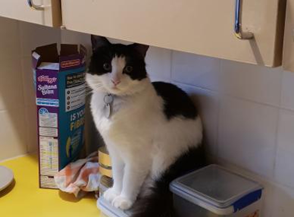 Unley Veterinary Surgery - Pets And Their People - Unley, SA