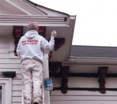 Star Painting Service - Stirling, NJ