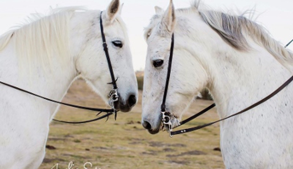 White Horse Carriage Co - Paso Robles, CA